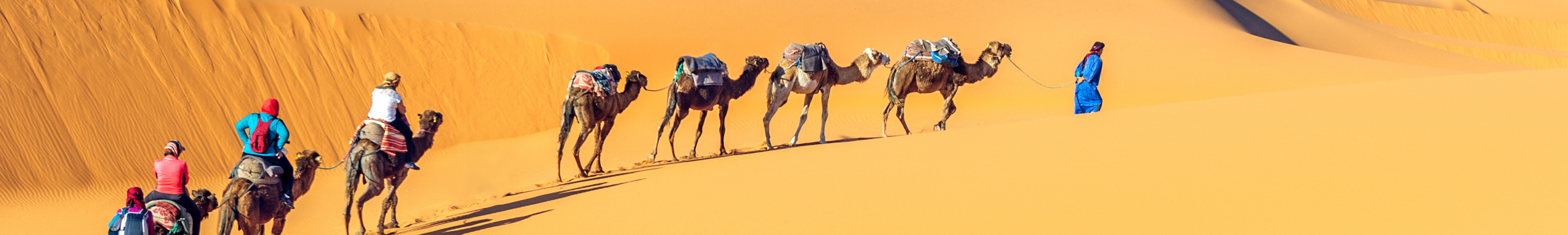 Nomader på kameler i Sahara